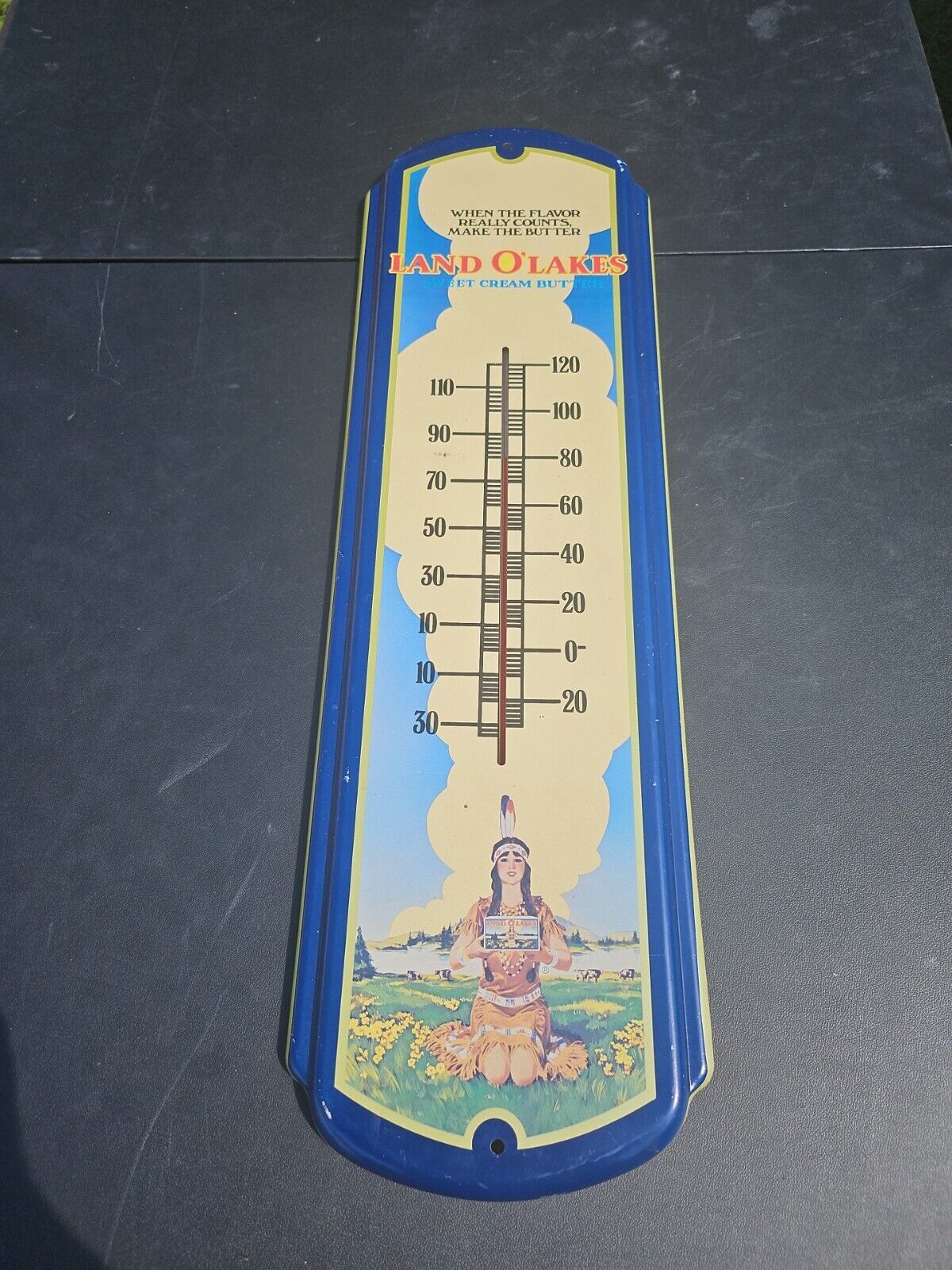 Vintage LAND O' LAKES SWEET CREAM BUTTER THERMOMETER Rare Advertising 26 1/2 Tr7