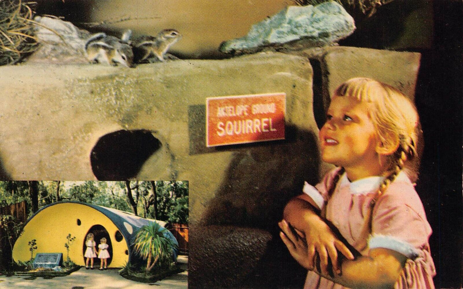 Vtg Postcard CA California San Diego Downtown Zoo 1950s Rodent Tunnel Child L11