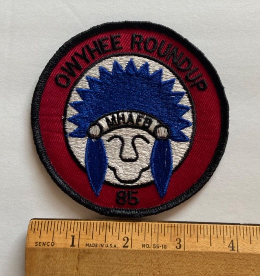 Vintage USAF 366th Tactical Fighter Wing Owyhee Roundup 1985 Military Patch