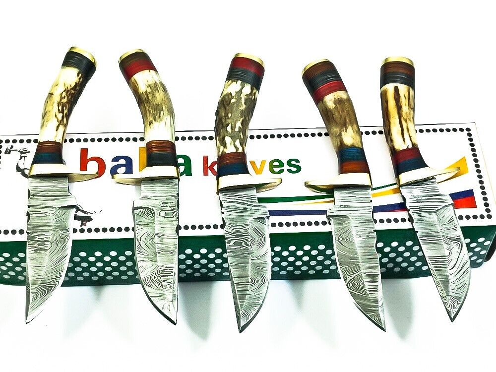 LOT OF 5 PCs 5.55 INCH HANDMADE DAMASCUS STEEL HUNTING KNIFE SKINNER KNIFE STAG