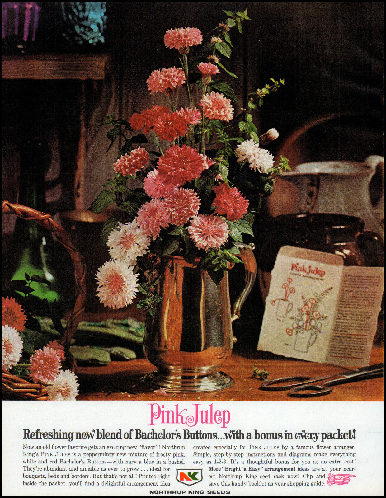 1964 Pink Julep Northrup King Seeds Bachelor\'s Buttons retro photo print ad L97