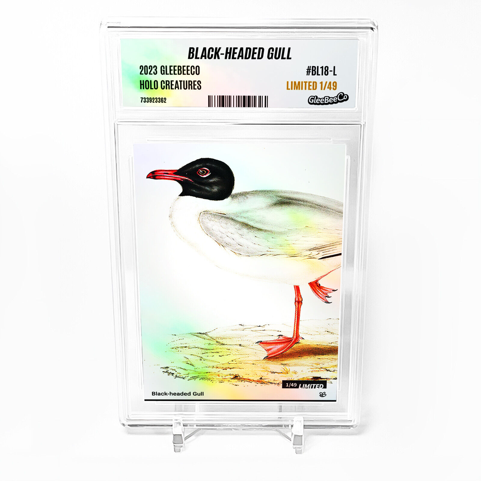 BLACK-HEADED GULL Card 2023 GleeBeeCo Holo Creatures #BL18-L Limited to Only /49