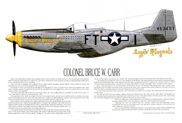 P-51D, Mustang Ace, Bruce Carr, Artist, E. Boyette