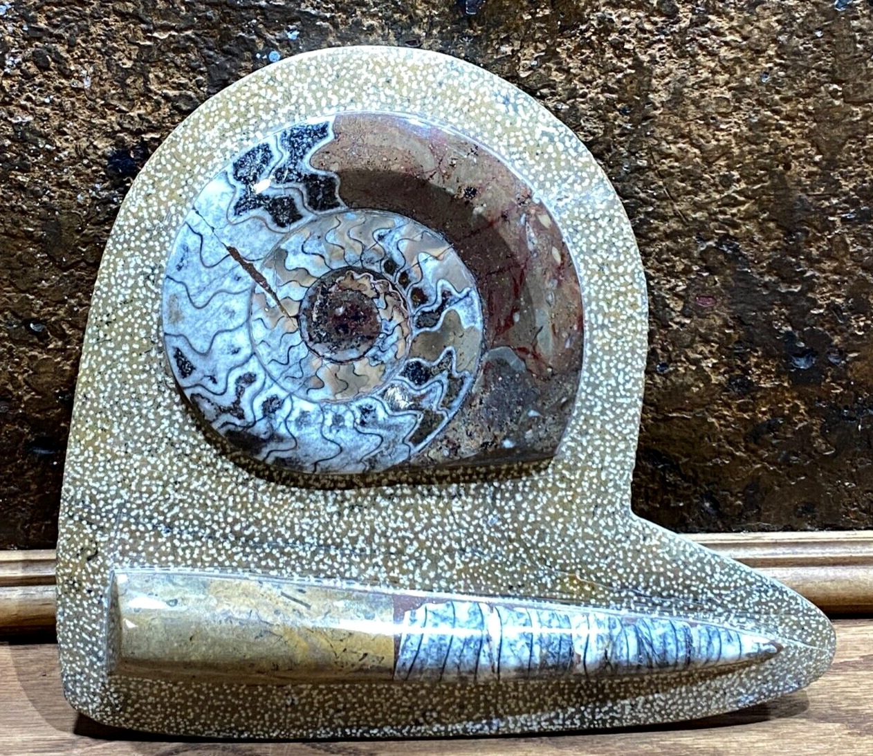 Vintage Polished Ammonite Slice Goniatite Orthocerns Fossil