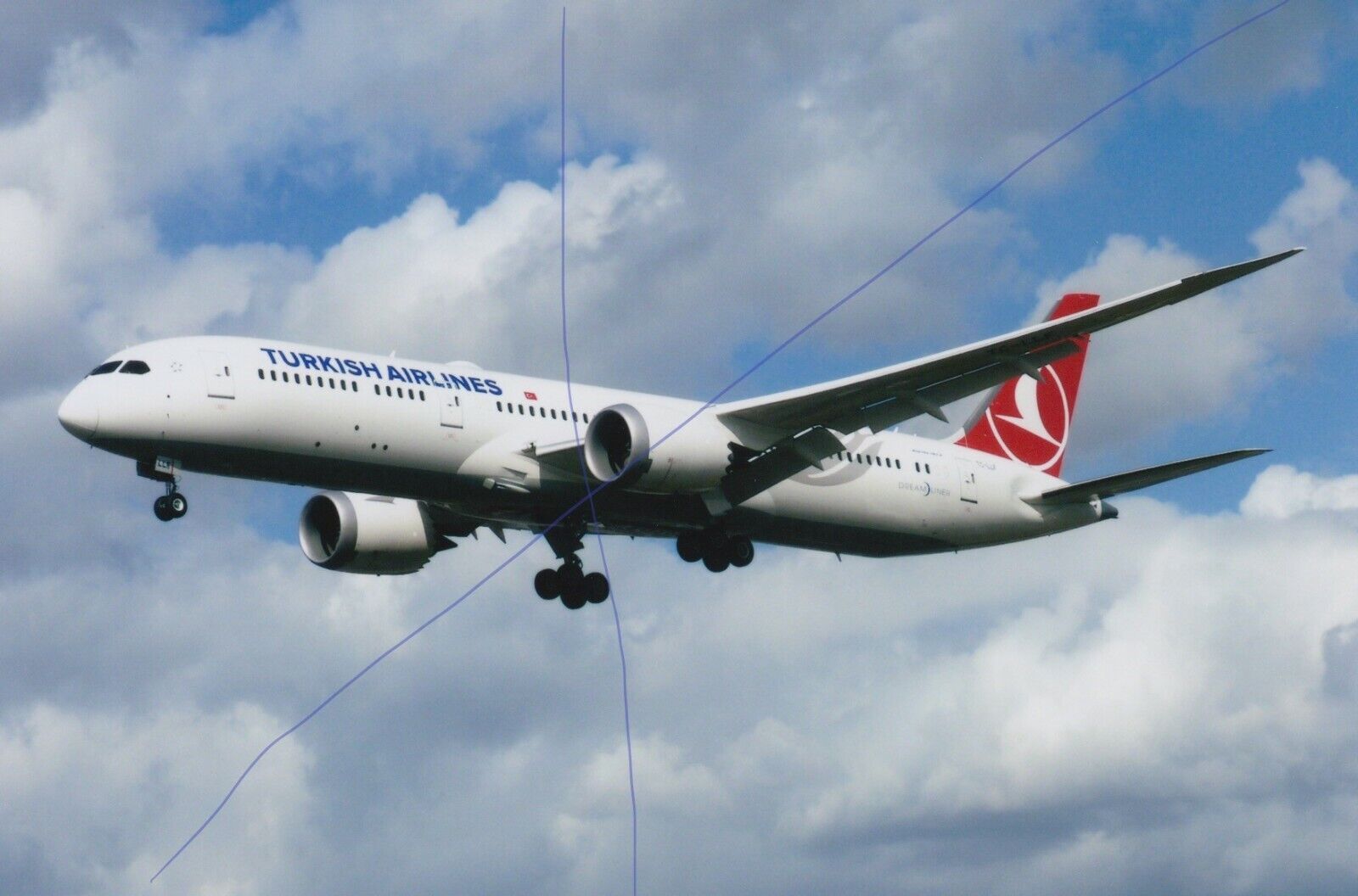 AIRCRAFT PHOTO CIVIL PLANE PICTURE TURKISH AIRLINES TC-LLF BOEING 787 PHOTOGRAPH