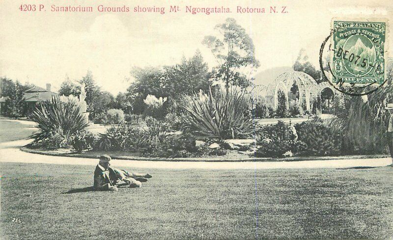 New Zealand South Pacific C-1910 Sanitarium Mt Ngomgataha Postcard 21-13926