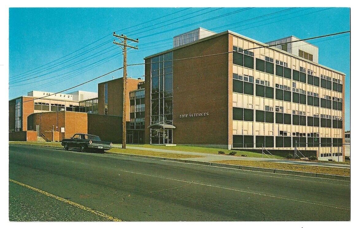 University of Connecticut, Storrs c1960 Life Science Building
