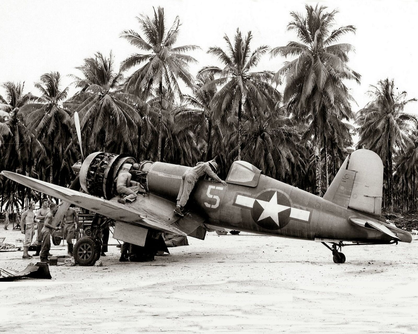 1944 USN Vought F4U-1A CORSAIR FIGHTING SQUADRON Photo  (225-O)