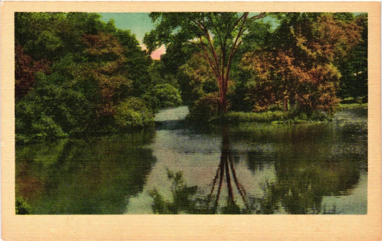 Vintage Postcard- River