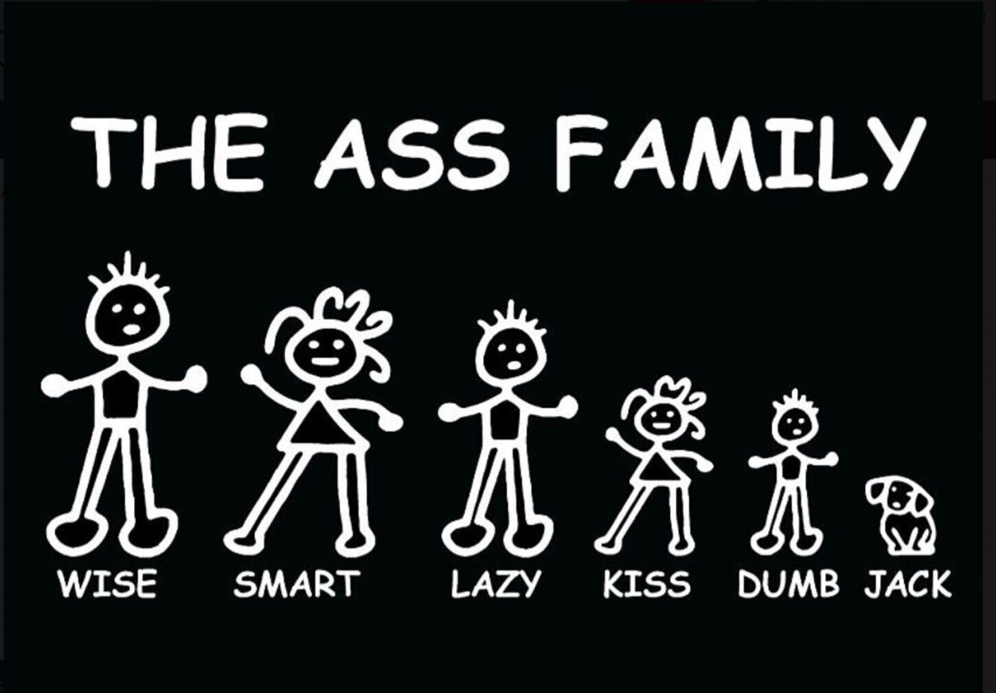 Meet The Ass Family,Wise,Smart,Lazy,Dumb,Kiss & Jack Ass on a 3.5”x 2.5” Magnet.