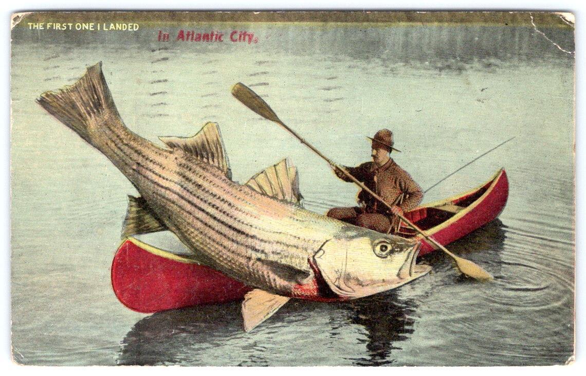 1912 1st ONE I LANDED HUGE FISH CANOE ATLANTIC CITY HUMOR VINTAGE EXAGGERATED PC