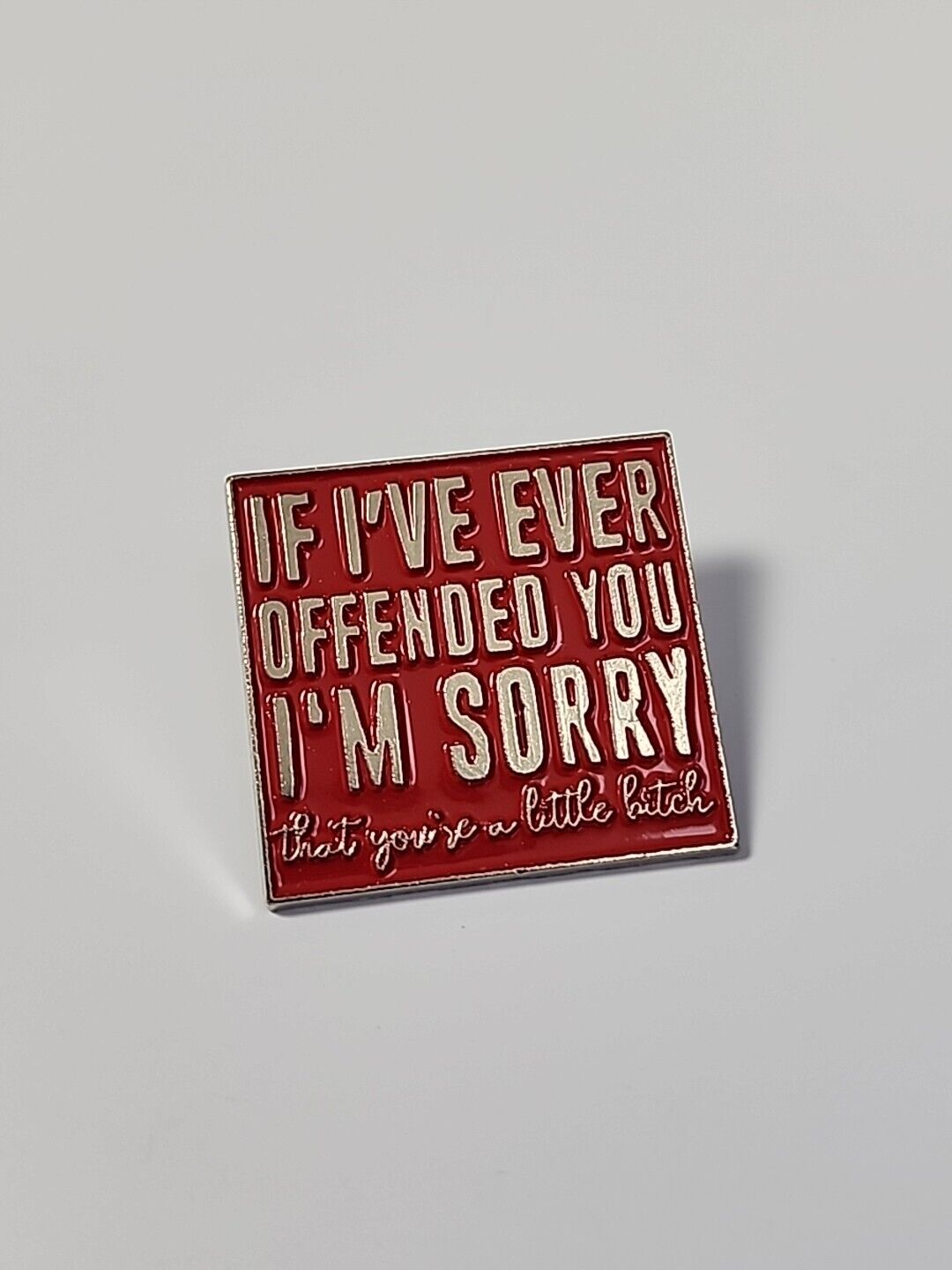 If I've Ever Offended You I'm Sorry (that you're a little bitch) Lapel Pin