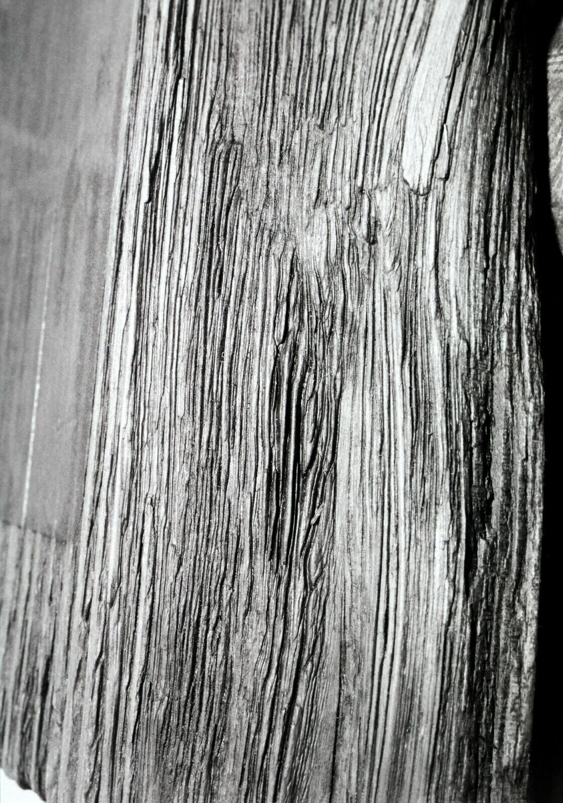 Wood Grain Closeup Two Original 35 mm Monochrome (B&W) Negatives