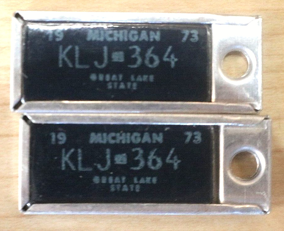1973 michigan dav disabled American veterans license plate keychains set