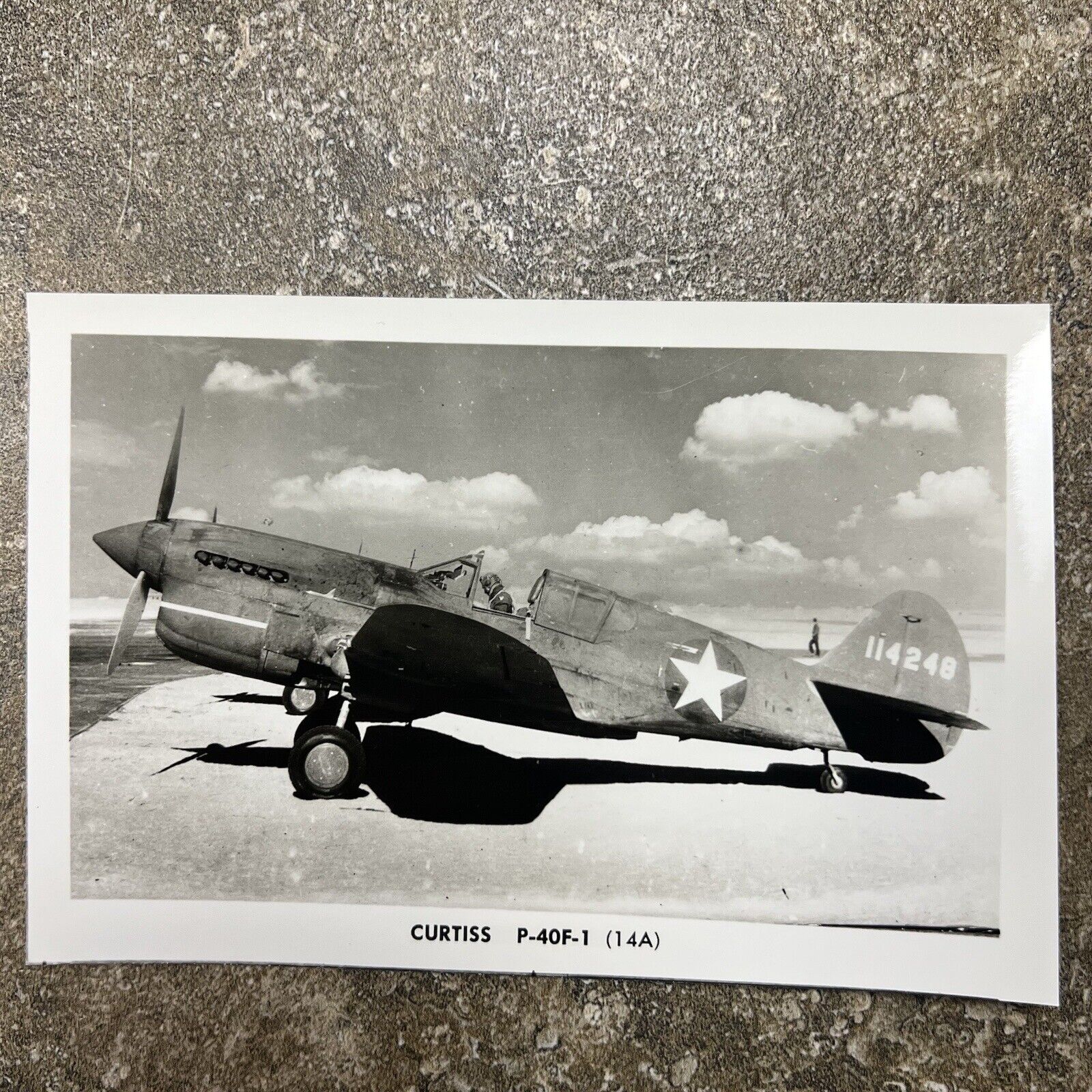 Original WWII Photo Curtiss P-40F-1 Fighter Female Pilot Plane Airforce Picture