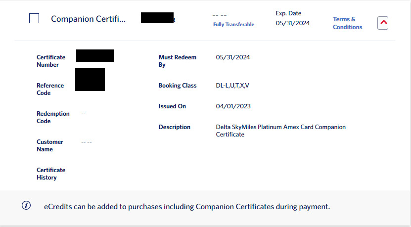 DELTA AIRLINES Companion Pass Certificate expires 05/31/2024