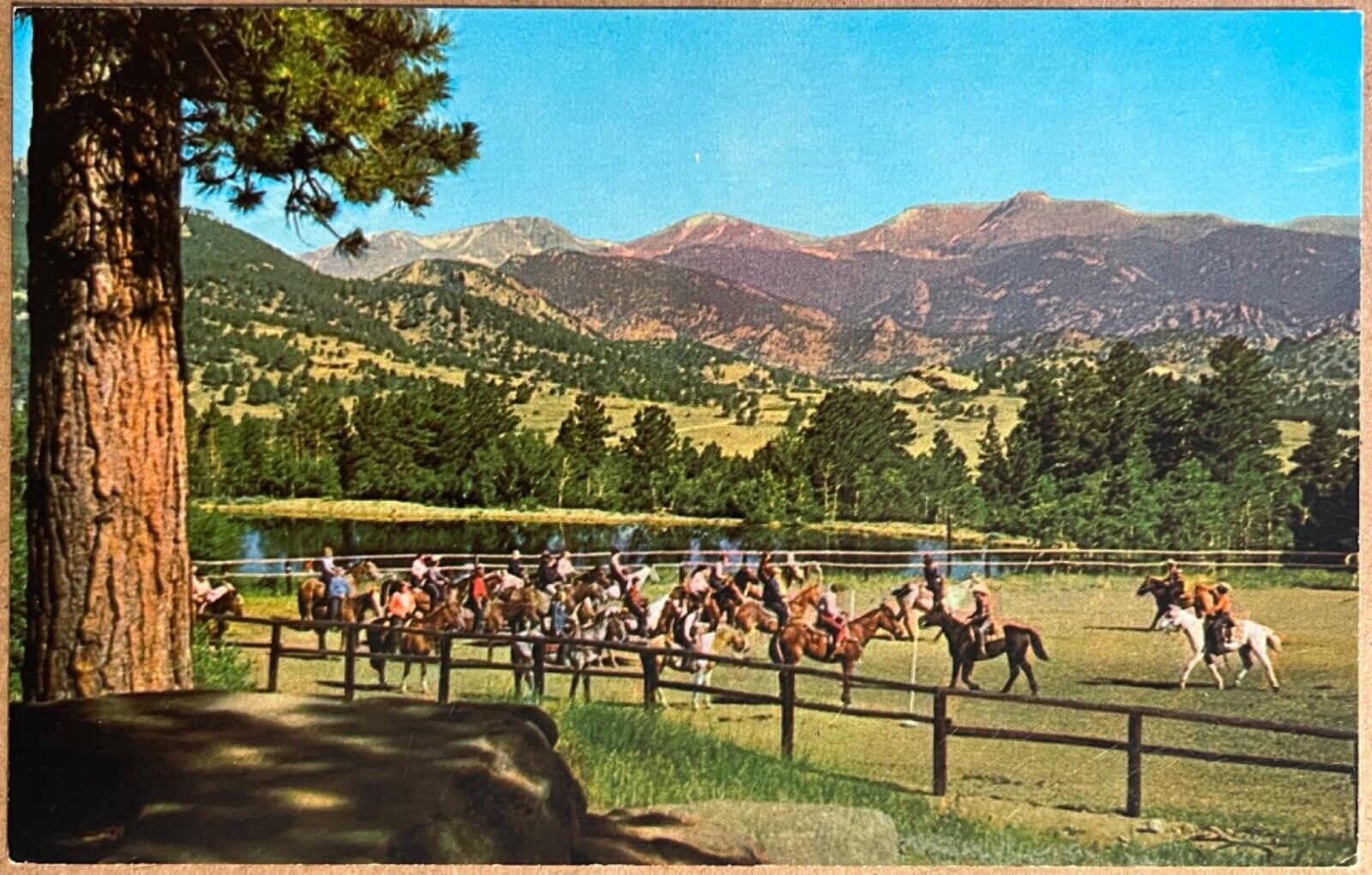Estes Park Colorado Cheney Camp Horseback Riding Vintage CO Postcard c1960