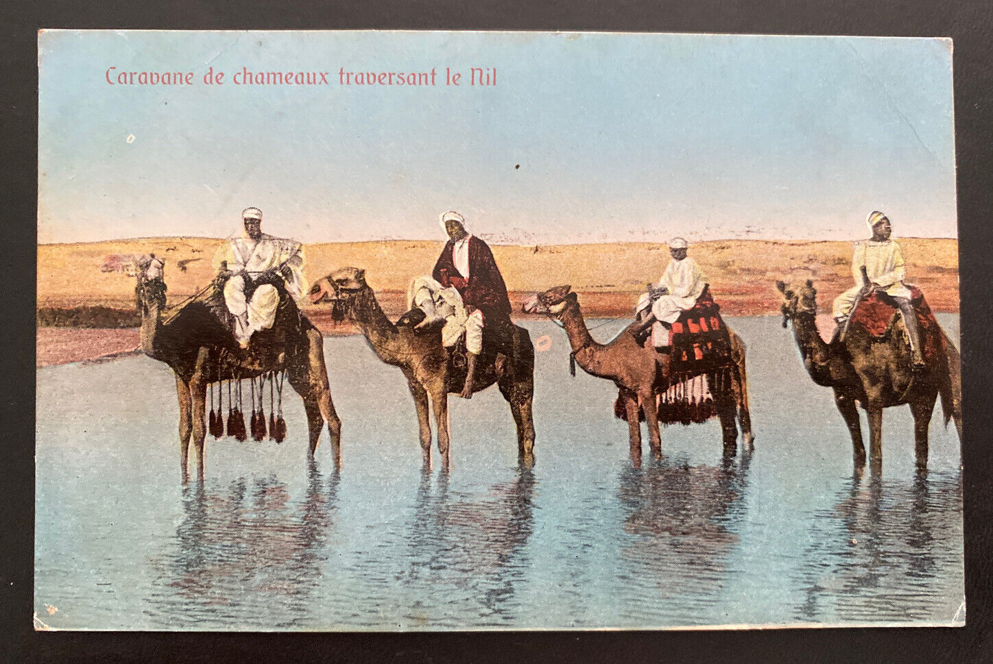 Mint Egypt Color Picture Postcard Camels Caravans Crossing The Nile