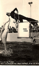 1950 ST AUGUSTINE MARINELAND FLORIDA FEEDING TIME DOLPHIN RPPC POSTCARD P878 picture