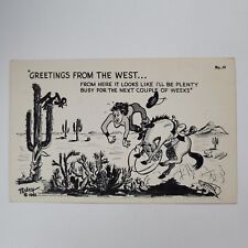 Greetings From The West Horse Bucking Woman Rider Cactus Buzzard Postcard Humor picture