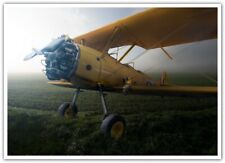 aircraft vehicle Boeing Stearman 3082 picture