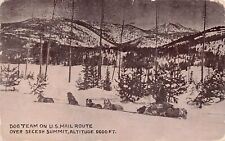 Secesh Summit Idaho US Mail Carrier Man Route Dog Team Sled 1913 Vtg Postcard W5 picture