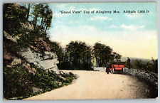 Grand View Top of Allegheny Mts. Altitude 2,806 ft. - Vintage Postcard picture