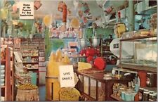 1960s HOUSTON Texas Advertising Postcard ANTONE'S IMPORT CO. Store View / Unused picture