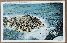 SEA LIONS, OREGON COAST HIGHWAY Vintage Postcard picture