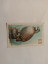 Vintage Church & Dwight's Soda Birds Series 4 Card No 26 Quail picture