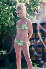 FAYE DUNAWAY  Hot Sexy Babe Model Exclusive 8.5x11 Photo 13397..,,, picture