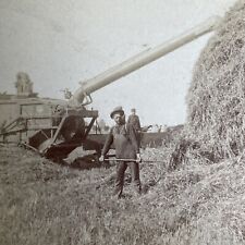 Antique 1900 Harvesting Wheat In Manitoba Canada Stereoview Photo Card PC873 picture