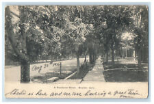 1906 A Residence Street, Boulder Colorado CO Longmont CO Antique Postcard picture