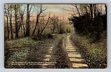 Allegheny Mts PA-Pennsylvania, Roadbed Old Allegheny Portage RR Vintage Postcard picture