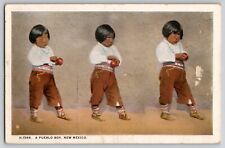 Pueblo Native American Boy New Mexico NM Fred Harvey 1569 Postcard c1910's picture