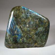 Polished Labradorite Freeform from Madagascar (3.7 lbs) picture