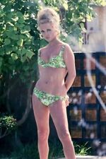 BEAUTIFUL FAYE DUNAWAY   Sexy Model Celebrity Exclusive 8.5 x 11 Photo 650333-- picture