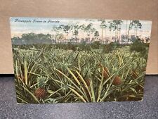 Pineapple Grove In Florida Postcard￼ picture