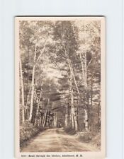 Postcard Road Through the Birches Shelburne New Hampshire USA picture