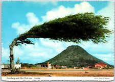 Hooiberg and Divi Divi Tree - Aruba Netherlands Countryside Landmark, Postcard picture
