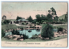 c1910 Sanatorium Grounds Rotorua New Zealand Unposted Vintage Postcard picture