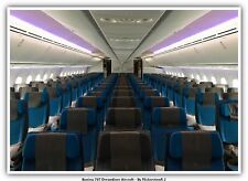 Boeing 787 Dreamliner Aircraft picture