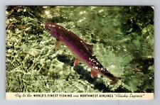 Ak-Alaska, Katmai Rainbow Trout, Airline Travel Advertising c1953 Postcard picture