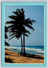Vintage Postcard  Greetings from Floria Palms Beach picture