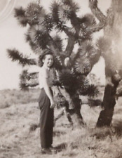 5B Photograph Pretty Woman Poses With Joshua Tree Desert Smiles At Camera 1940's picture