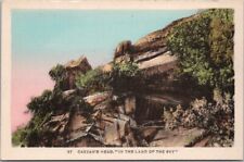 Vintage North Carolina Postcard 