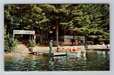 Kingston NH-New Hampshire, Buzzell's Grove, Antique, Vintage Souvenir Postcard picture