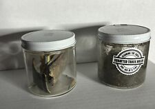 WhistlinDiesel Squatted Truck Mulch And R32 GTR Mulch Jars Autographed  picture