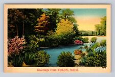 Colon MI-Michigan, General Greetings Lake Area, Antique, Vintage Postcard picture