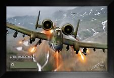 A-10 THUNDERBOLT II 'WARTHOG' RELIC DISPLAY BY RON COLE picture